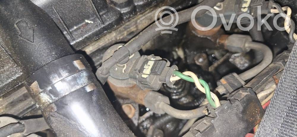 Peugeot 406 Injector combustibil 