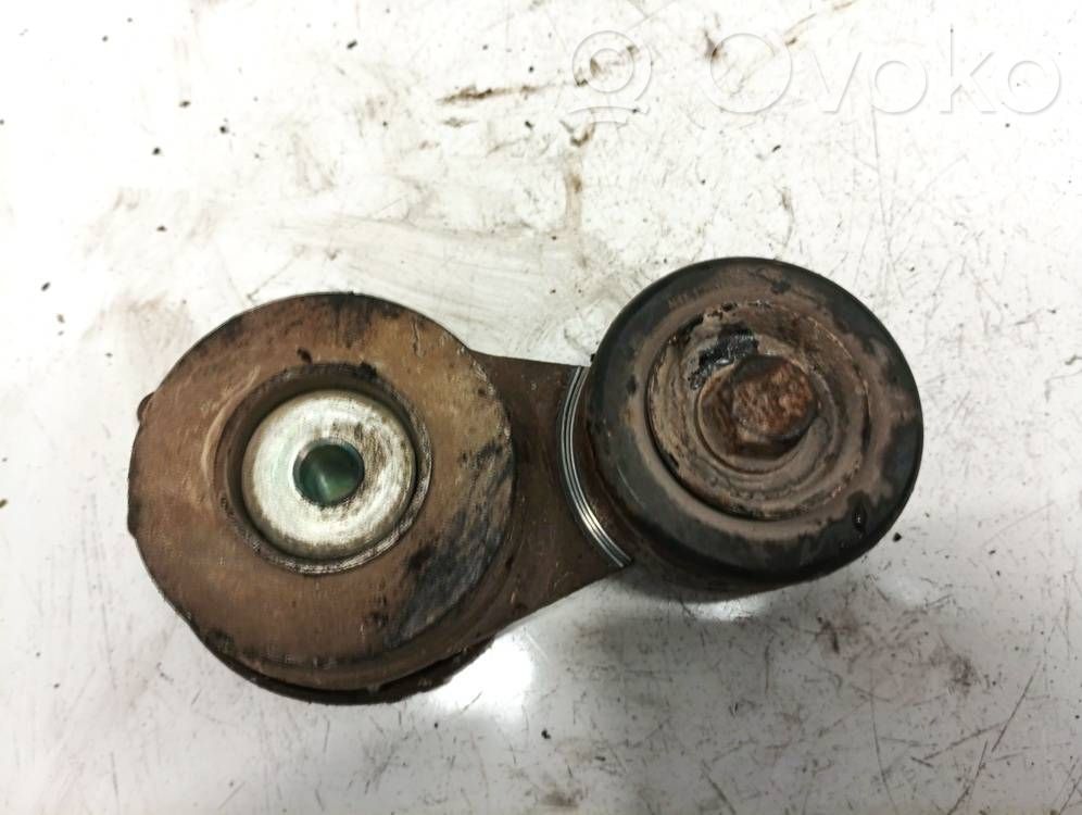 Hyundai ix35 Tendicinghia generatore/alternatore 