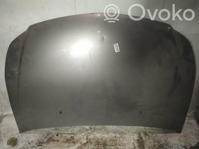 Fiat Sedici Vano motore/cofano