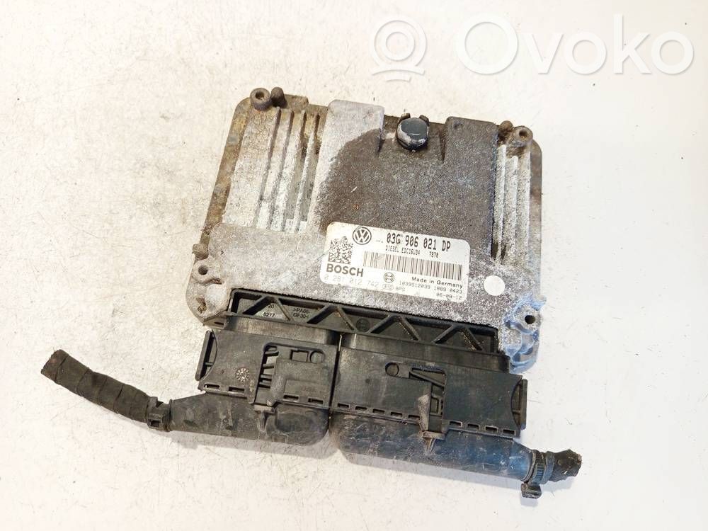 Centralina/modulo del motore   0281012742,03G906021DP,0281012742,03G906021DP