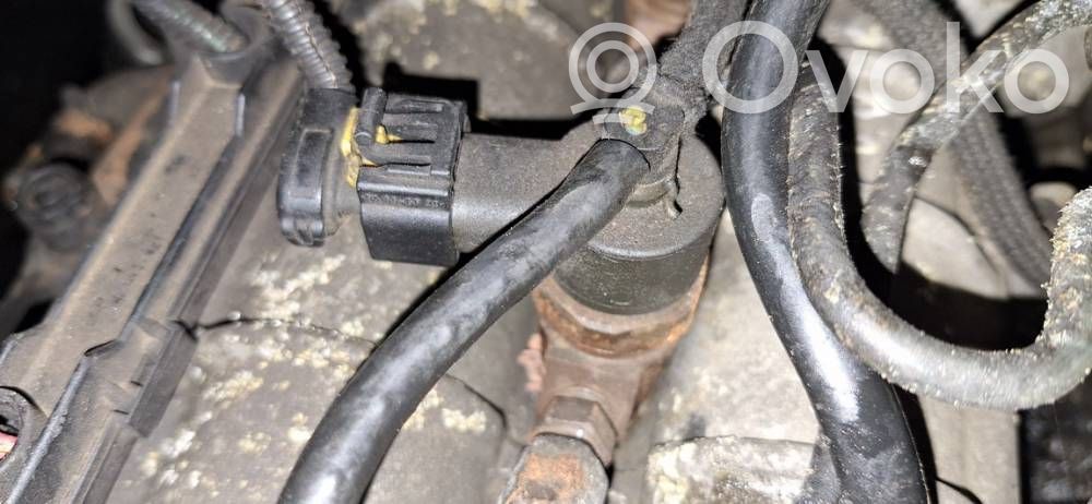 Inyector de combustible   0445110159,0445110159