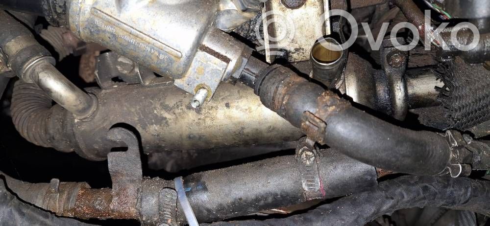 Opel Zafira B Valvola di raffreddamento EGR 