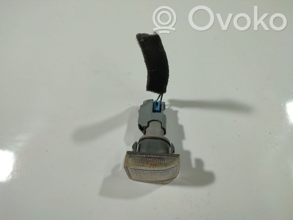 Chevrolet Aveo Seitenblinker 