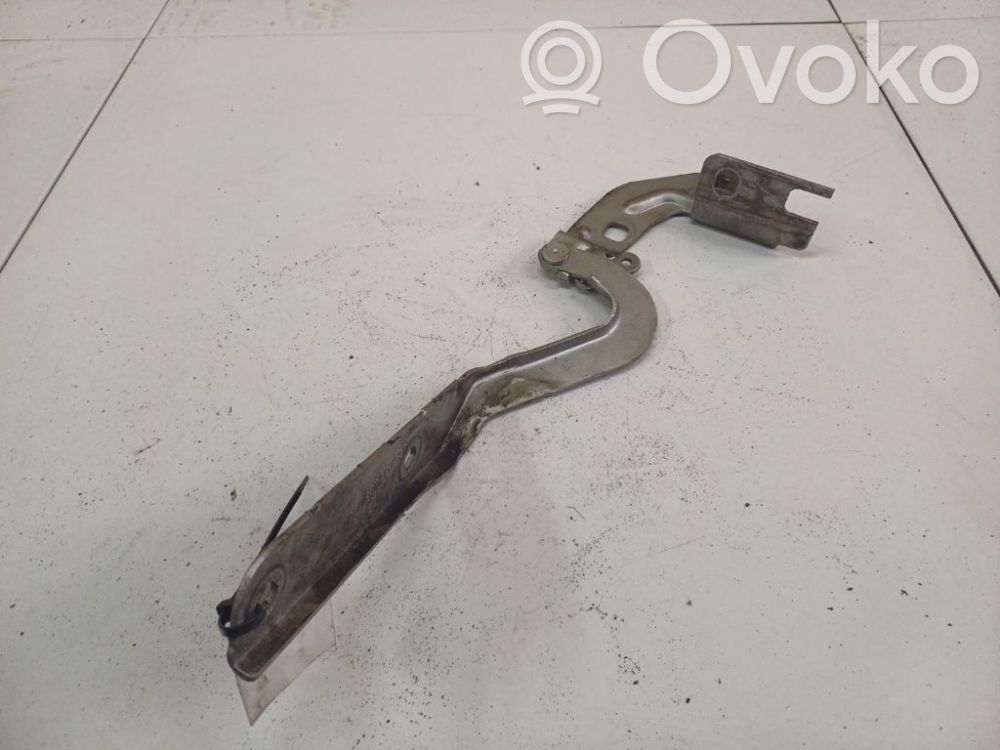 Citroen C4 I Picasso Cerniera portellone posteriore/bagagliaio 