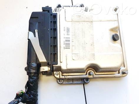 Engine control unit/module   81169887,1928401778,81169887,9641608080
