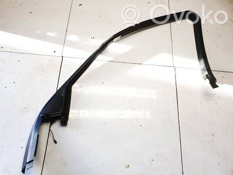 Other front door trim element   8223820,14859001,14859001,8223820