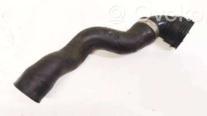 BMW 5 E39 Engine coolant pipe/hose 