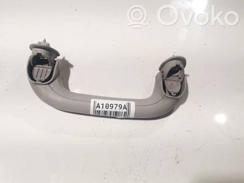 Asidero interior delantero
