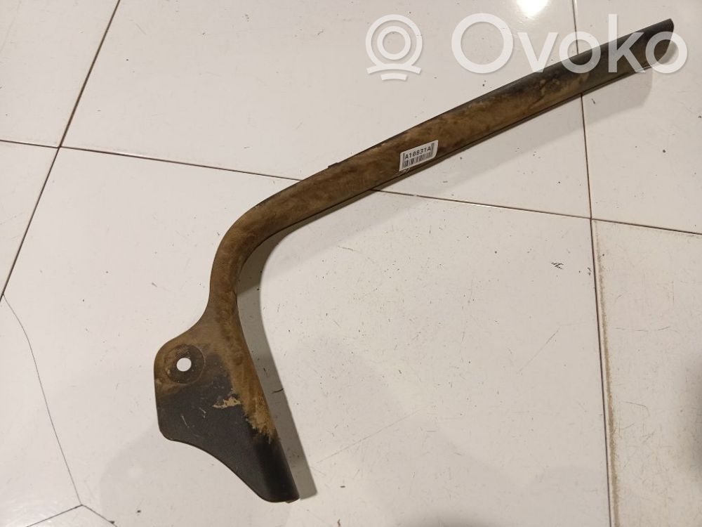 Citroen C4 I Moldura protectora del borde delantero