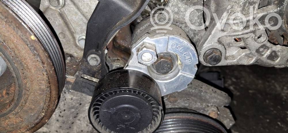 Tendicinghia generatore/alternatore   950649,950649