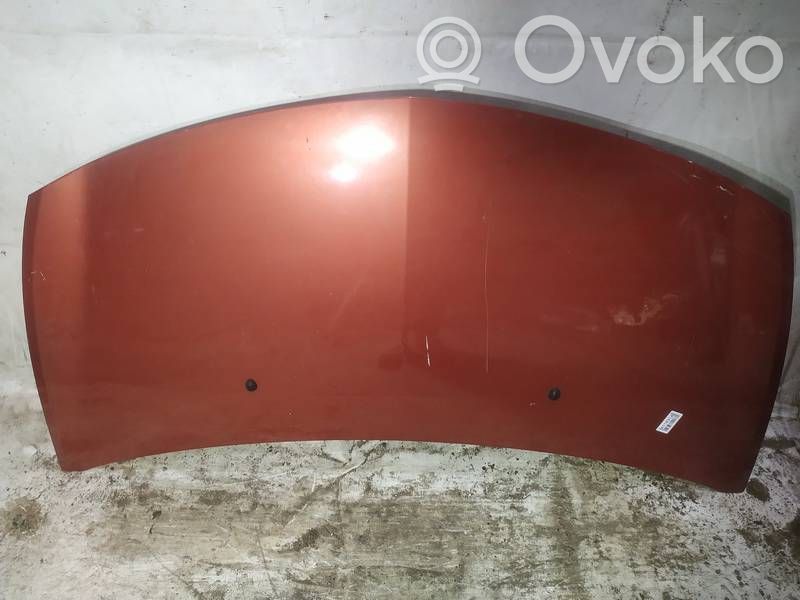 Vano motore/cofano   RAUDONAS,RAUDONAS