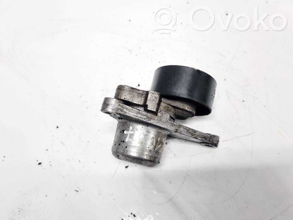 Renault Laguna III Întinzător curea generator/alternator 