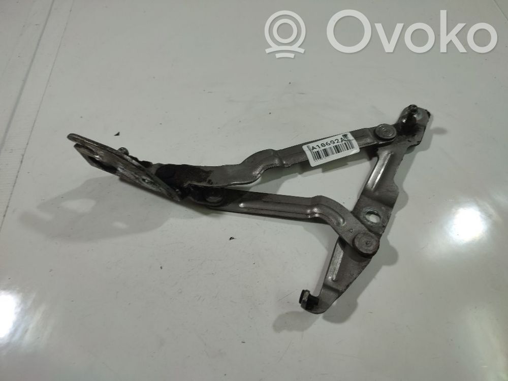 Cerniere del vano motore/cofano