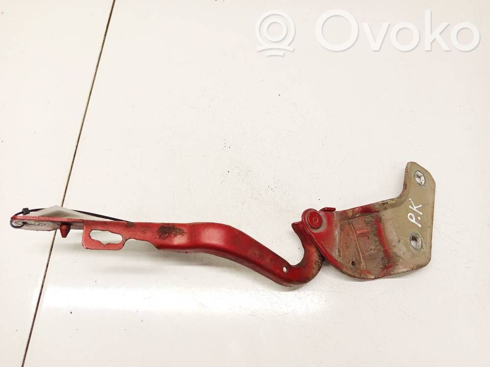 Renault Clio III Dzinēja pārsega eņģe (-es) 