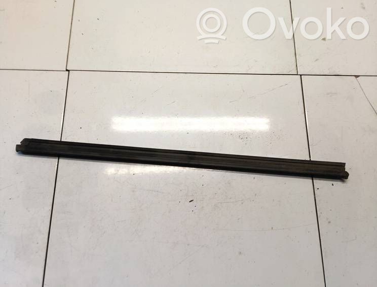 Volkswagen Tiguan Moulure de vitre de la porte avant 