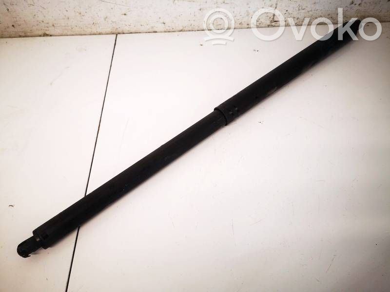 Tesla Model S Ammortizzatore portellone posteriore/bagagliaio