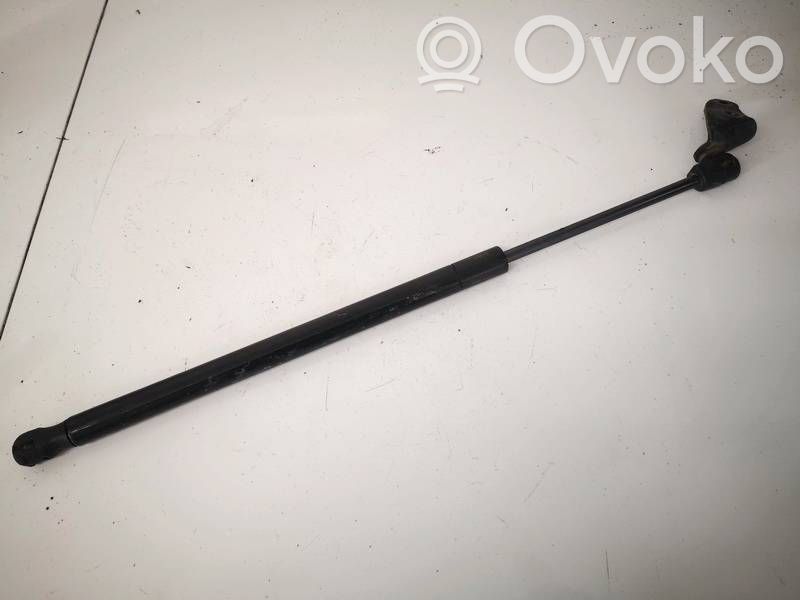 Tailgate/trunk strut/damper   6006603,6006603