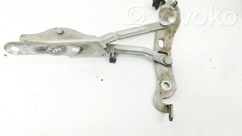 Tailgate/trunk/boot hinge   30779936,30779936