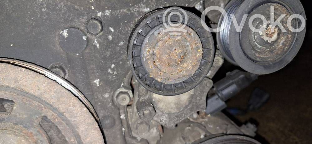 Tensor de correa del alternador