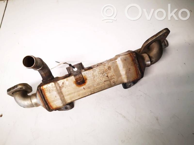 Ford Galaxy Răcitor supapă EGR 