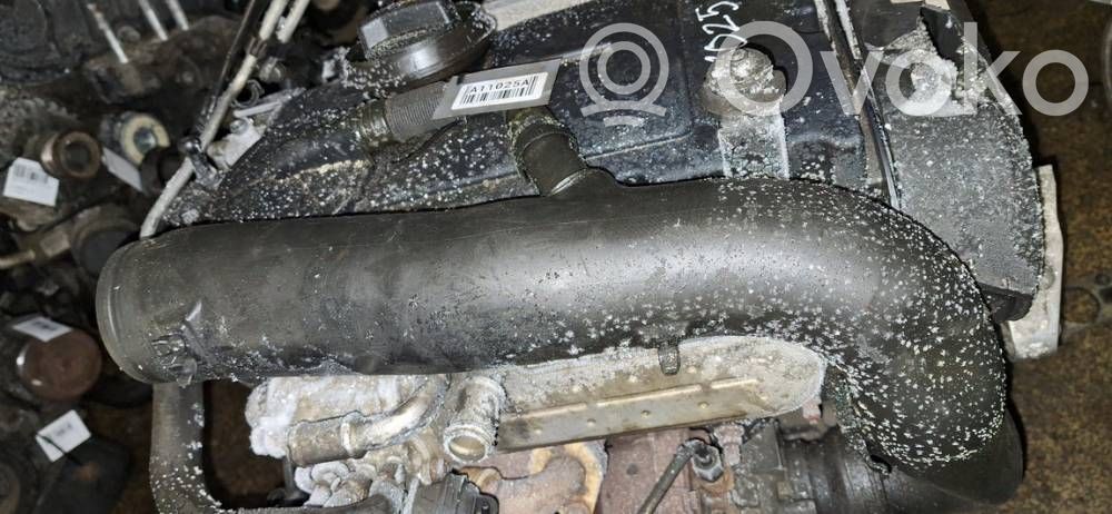 Audi A3 S3 8P Tubo flessibile intercooler