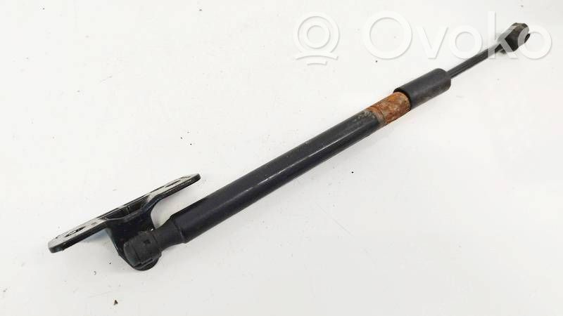 Tesla Model 3 Amortizor capotă motor