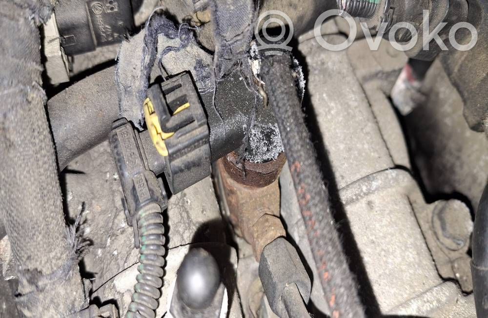 Injecteur de carburant   0445110243,0445110243
