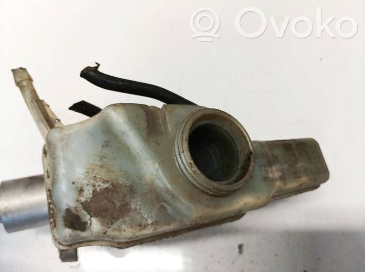 Volkswagen PASSAT B7 Zbiornik płynu hamulcowego 