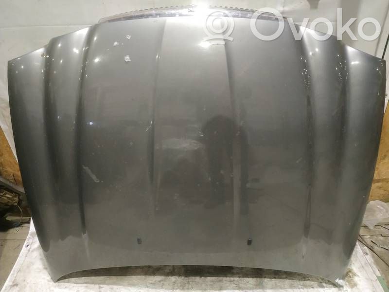 Motorhaube   PILKAS,PILKAS