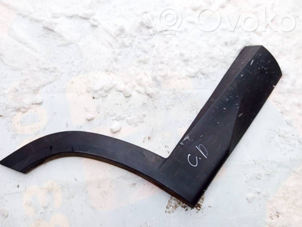 Hyundai Tucson IV NX4 Rivestimento portiera posteriore (modanatura)