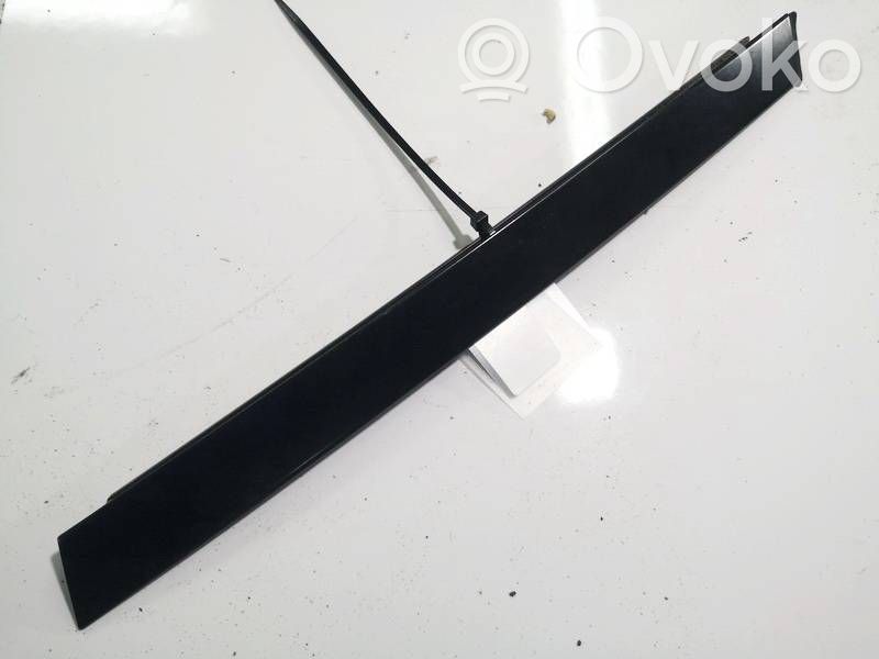 Other front door trim element