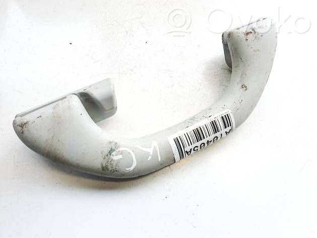 Skoda Fabia Mk2 (5J) Maniglia interna tetto posteriore 