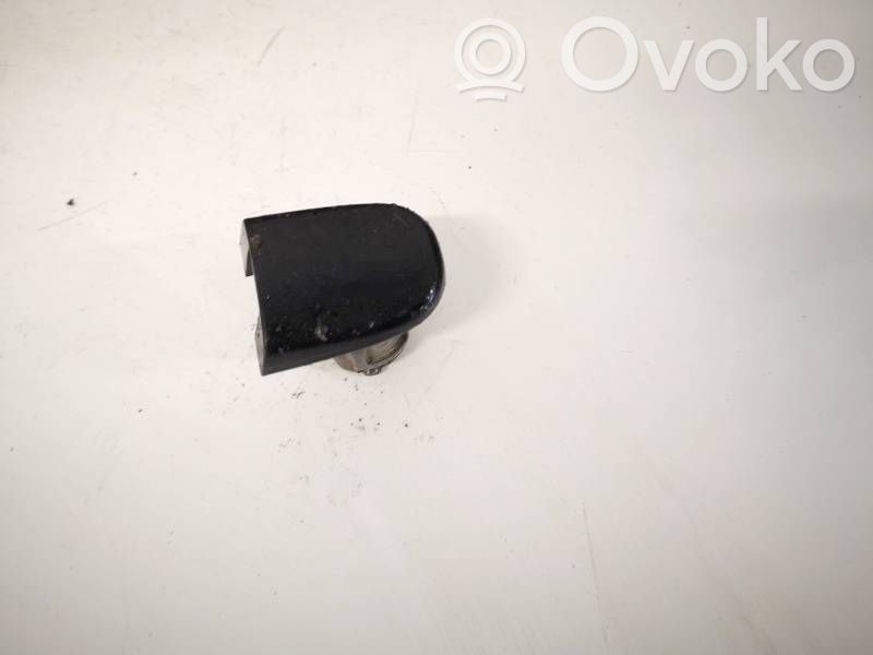 Volkswagen PASSAT B5.5 Coperchio portiera di carico 