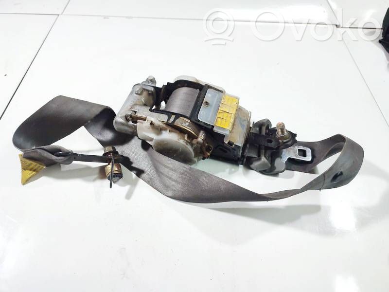 Cinturón delantero   0426160,E40426160,0426160,348512,E40426160,E4226160