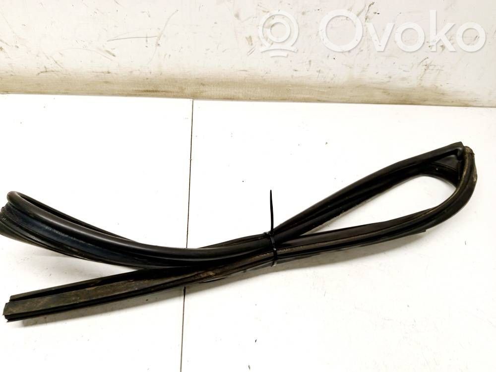 Uszczelka drzwi