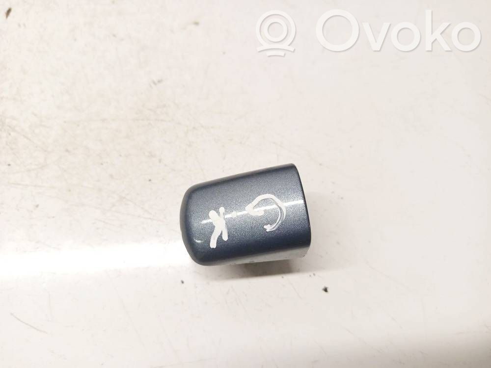Peugeot 407 Tapa/cubierta de puerta de carga 