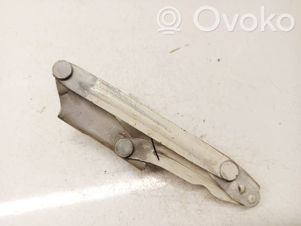 Volkswagen Crafter Cerniere del vano motore/cofano