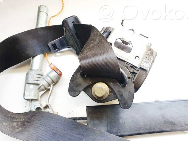 Cinturón delantero   B507743,7043207,7043207,B507743