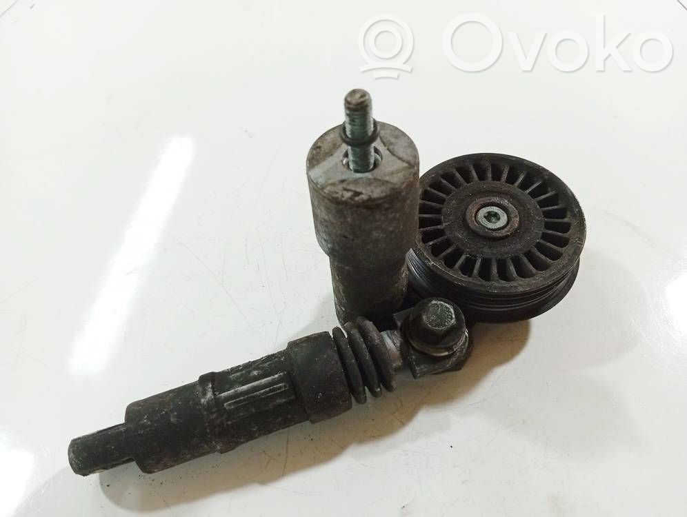 Volkswagen PASSAT B5.5 Tendicinghia generatore/alternatore