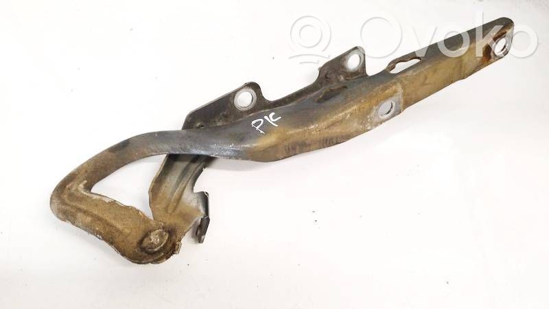 Peugeot 207 Balamale capotă 