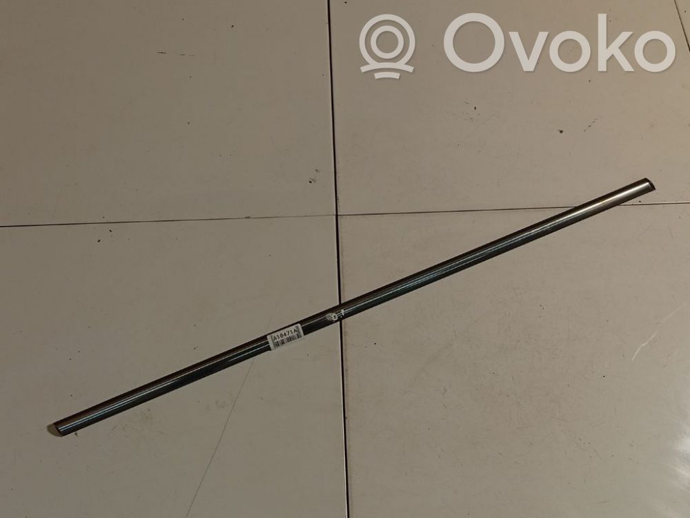 Opel Zafira B Rivestimento modanatura del vetro della portiera anteriore 