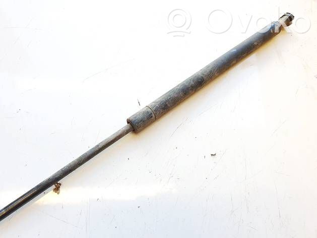 Renault Scenic I Ammortizzatore portellone posteriore/bagagliaio 