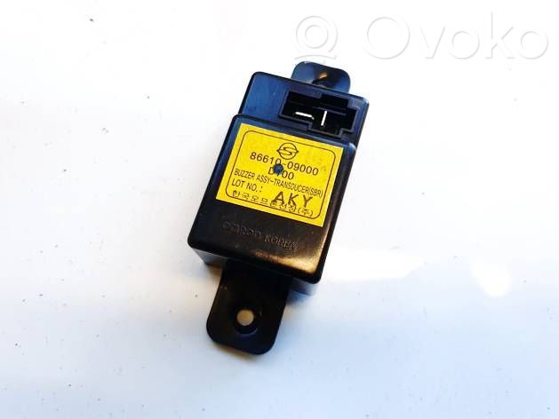 SsangYong Kyron Alte unități/module de control 