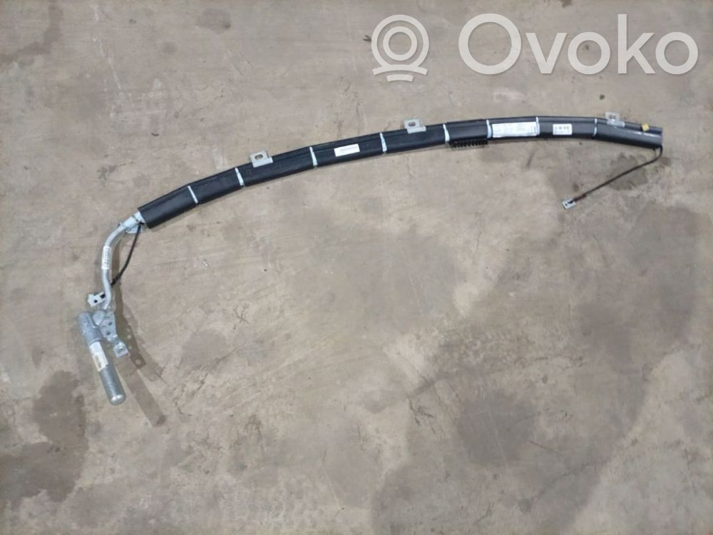 Jaguar X-Type Airbag del techo 