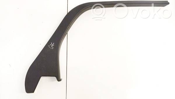 Ford Focus Rear door glass trim molding 