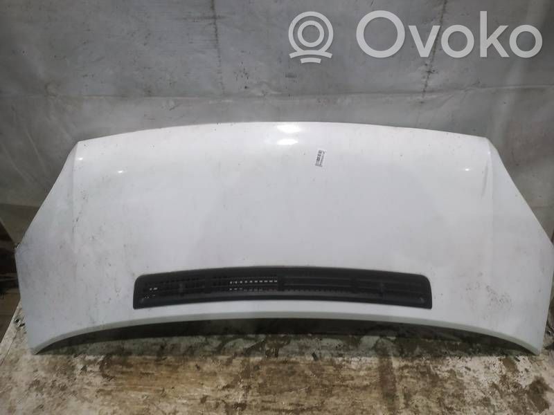 Engine bonnet/hood   BALTAS,BALTAS