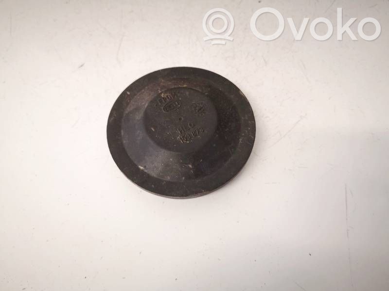 Volkswagen PASSAT B5 Parapolvere per faro/fanale