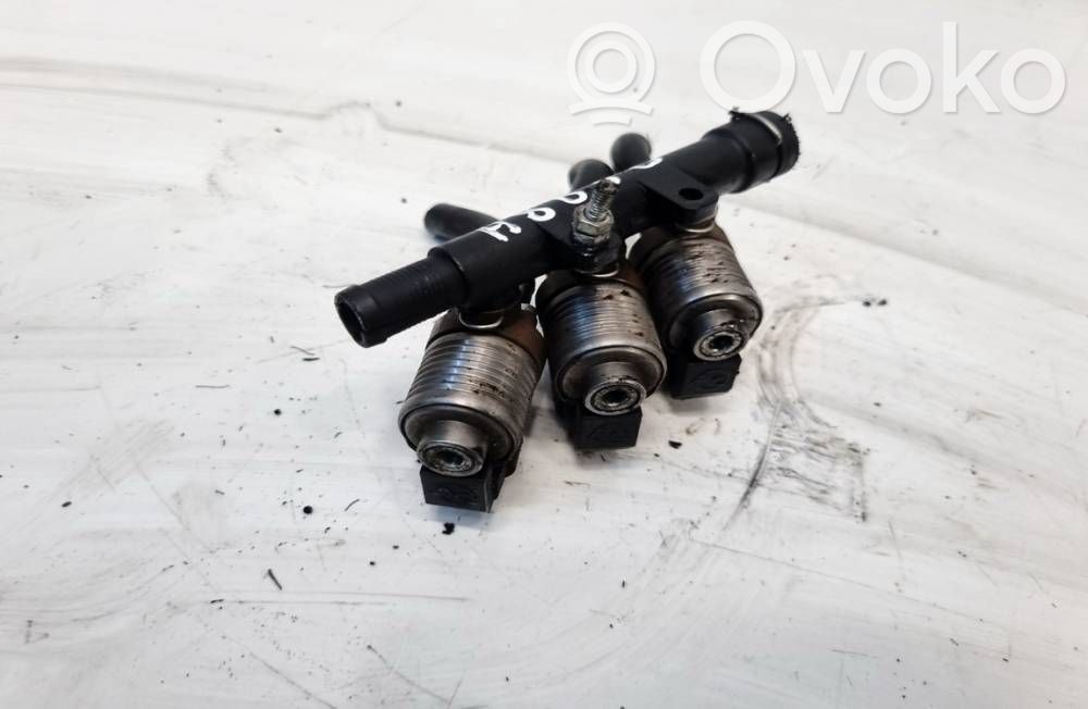 Inyector de gas GLP   67R017296,110R017297,110R017297,67R017296