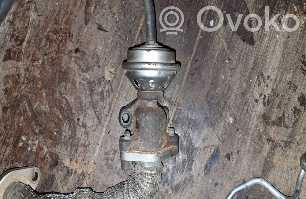 Volkswagen PASSAT B5 Valvola EGR 