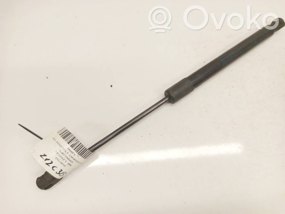 Volkswagen Golf VI Amortizor hayon